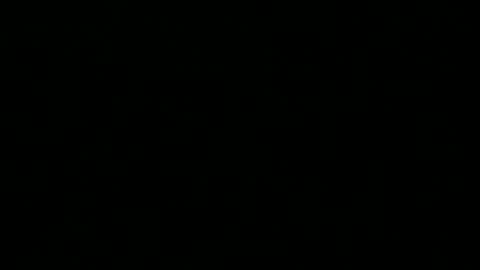 Peter online show from December 1, 8:33 pm