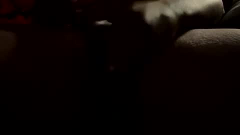 19bbc88 online show from November 2, 10:37 am