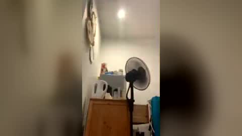 2221806568 online show from May 28, 8:29 am
