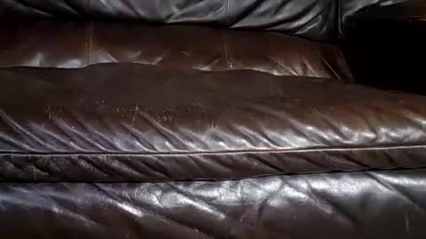 24cockrings online show from October 26, 6:40 pm