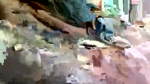 7lairddip online show from October 6, 4:08 am