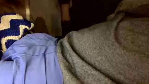 941Watch online show from February 2, 2:42 am