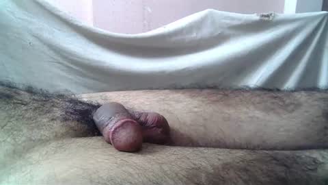 Massive hungry cock online show from July 20, 1:30 am