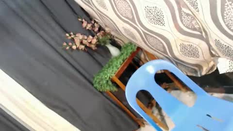 Russ online show from April 21, 1:20 am