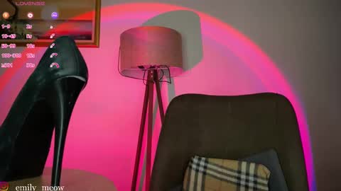 Emily online show from March 7, 2:34 pm