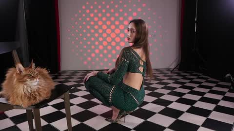  Saturday - start 2030-2130 GMT online show from November 8, 8:56 pm