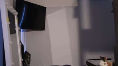 soy mike online show from February 7, 2:04 pm