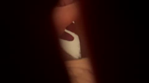 _peterson_ online show from November 26, 11:01 pm