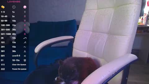 Ilona online show from November 13, 12:19 pm