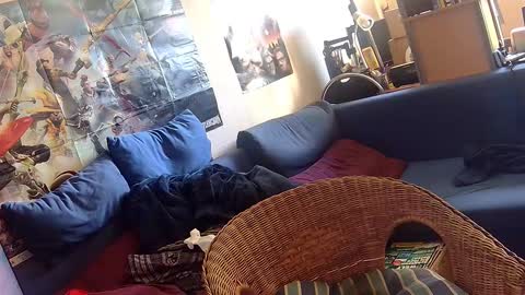 Snapshot of _svenerd87___ chatting on October 6, 11:50 am Sven online show from October 6, 11:50 am