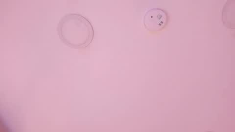 A B B Y online show from February 25, 11:58 am