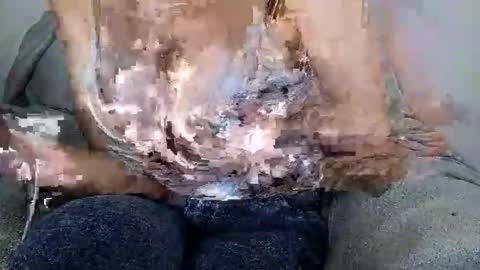 abril2026 online show from February 28, 6:01 pm