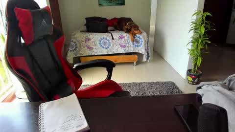 Snapshot of adam_valencia chatting on October 16, 4:28 pm Adam Valencia online show from October 16, 4:28 pm