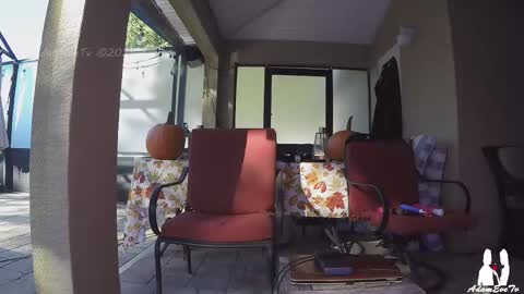 Adam And Eve online show from November 1, 8:30 pm