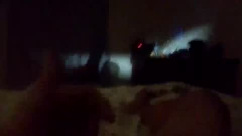 adamlucas54321s773712 online show from April 3, 4:58 pm