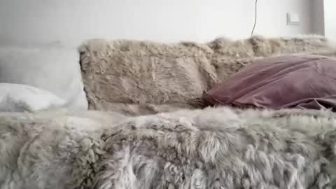 I love a little angel online show from December 17, 10:33 am