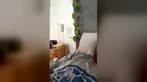 advbike online show from March 13, 9:29 pm