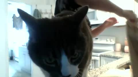 Alaska Blaze online show from April 3, 4:36 pm