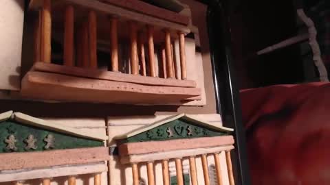 Alex Amazing online show from January 28, 9:08 pm