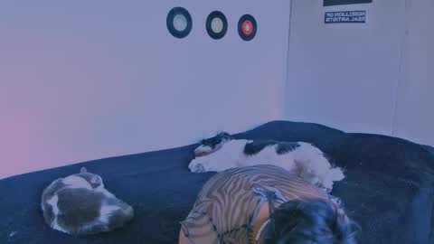 Alex online show from September 24, 7:09 pm