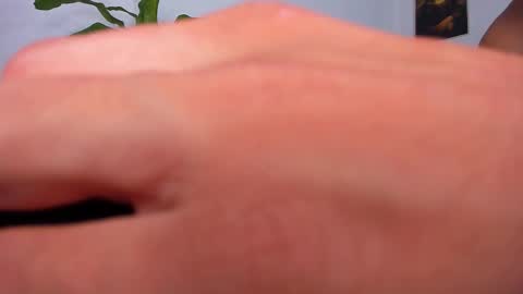 alexander_white13 online show from November 21, 9:40 am