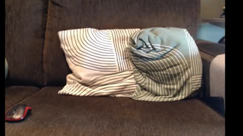 alexbelly online show from November 11, 11:12 am