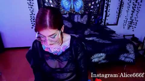 ALiCE ROSE online show from February 11, 4:00 pm