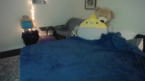 Alice Asks online show from November 14, 2:03 am