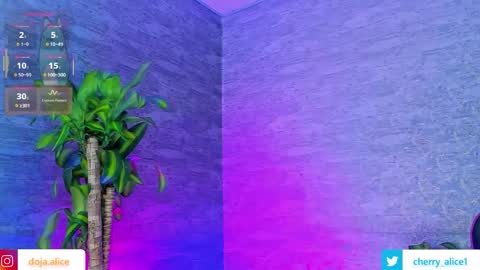 Alice Salvatore online show from September 24, 2:40 am