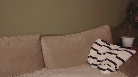 alisaxxxshy online show from February 3, 6:40 am