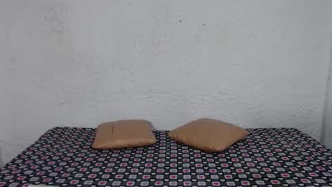 aliss online show from November 11, 11:01 am