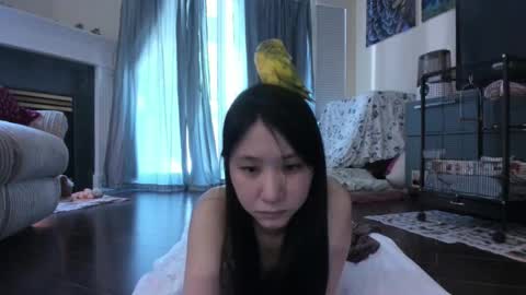 Snapshot of alizezaide chatting on September 22, 8:35 pm Alize Zaide online show from September 22, 8:35 pm