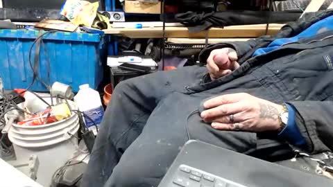 allwolf0323 online show from April 17, 9:22 am