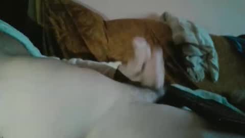 amazingcuteboy845 online show from October 23, 11:05 pm