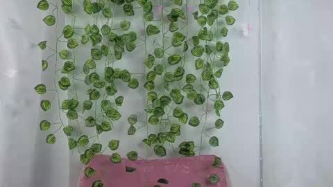 Amber  online show from April 24, 1:24 pm