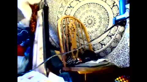 ambionce online show from May 19, 8:43 am