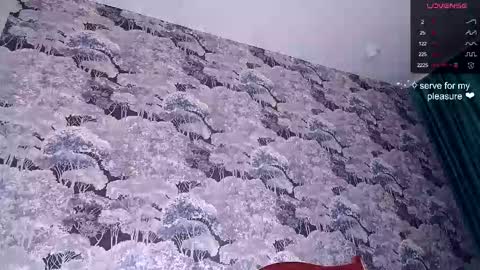  25 WEEK Princess  Linnea  online show from February 15, 12:15 pm