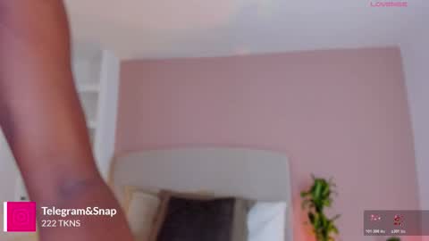 AMMY online show from March 20, 7:41 pm