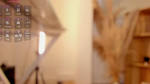     online show from January 18, 11:22 pm