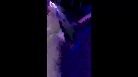 andrew396629 online show from April 21, 8:32 am