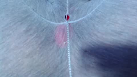 Andry G online show from November 23, 12:41 am