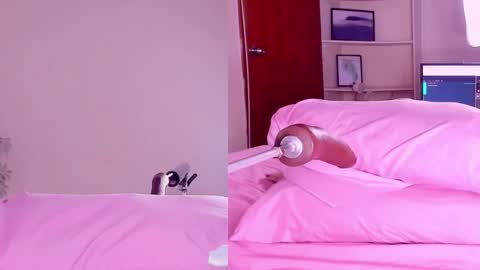 Snapshot of angeli__wu chatting on February 18, 3:21 am Angeli  online show from February 18, 3:21 am