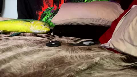 angusbone01 online show from December 17, 7:39 am