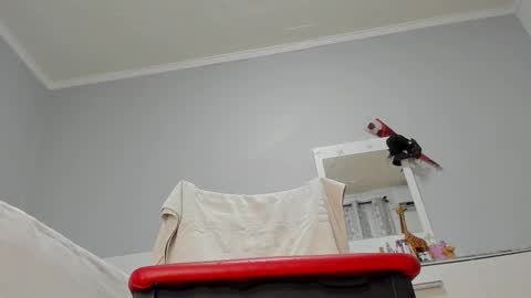 Luna online show from February 26, 10:05 am