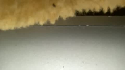 annagal18 online show from February 21, 6:55 pm