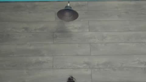 annasplash online show from March 12, 5:46 am