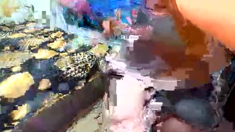 AnnaxGoldX online show from September 19, 8:29 am