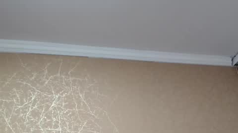       online show from February 1, 1:35 am