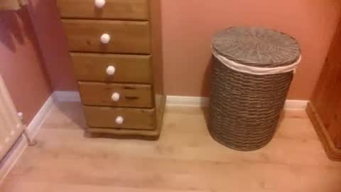 annecharlie online show from November 16, 8:38 am