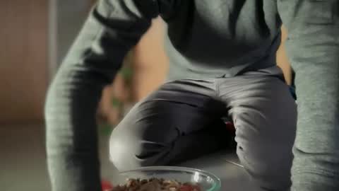 ansal1001 online show from November 25, 2:05 pm